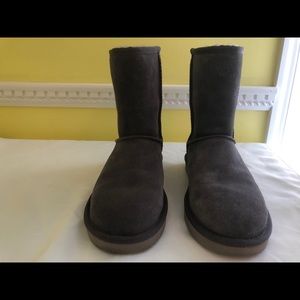 Grey kookaburra by UGG boots